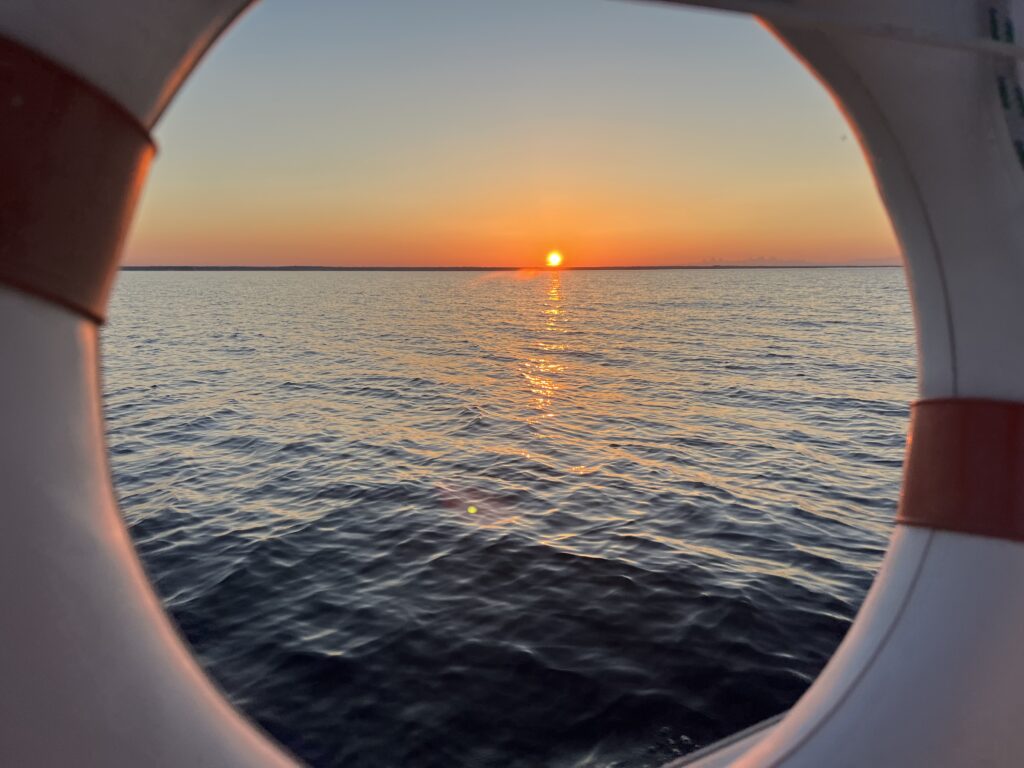 image6