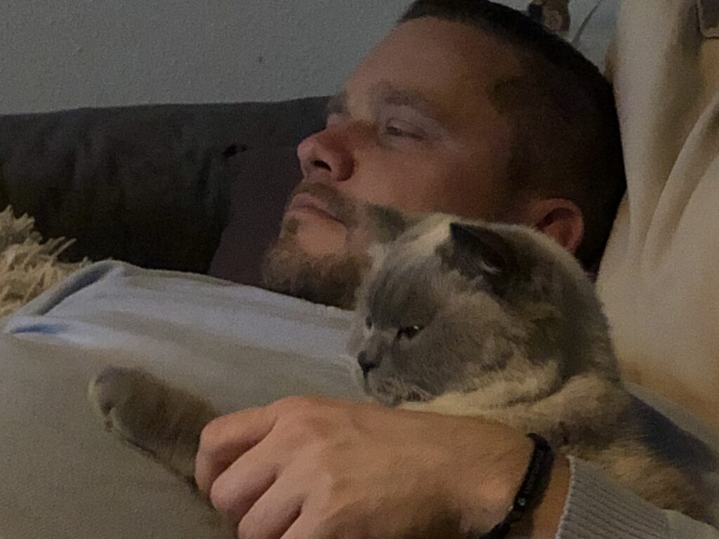 kuschelkatze